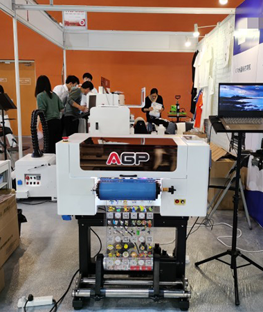 AGP in DPES